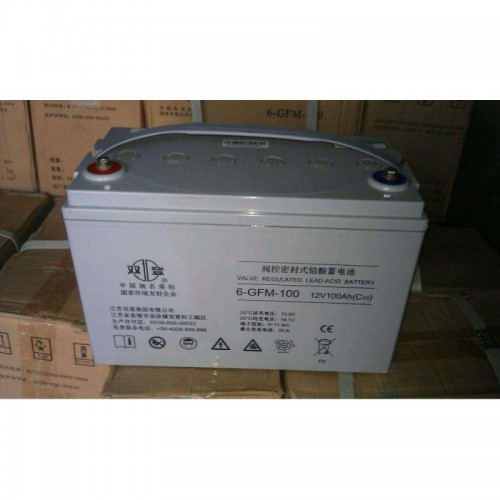 雙登蓄電池12V100AH原廠正品免維護鉛酸蓄電池UPS電池