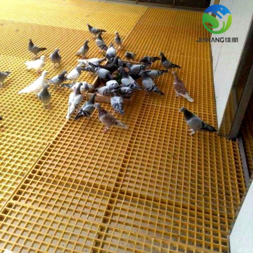 鴿舍篦子地網 鴿籠漏糞用地網格柵 鴿棚玻璃鋼格柵廠家