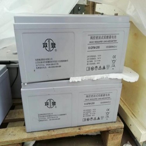 雙登蓄電池 6-GFM-200UPS電池免維護200AH