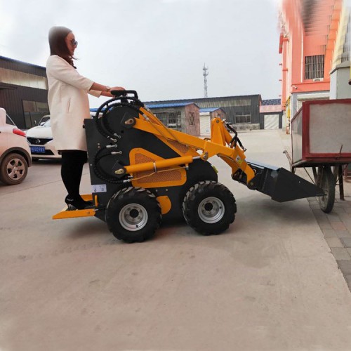 產(chǎn)滑移小鏟車  小型電動(dòng)裝載機(jī) 質(zhì)優(yōu)價(jià)廉