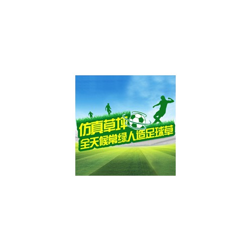 泰安人工草皮工程