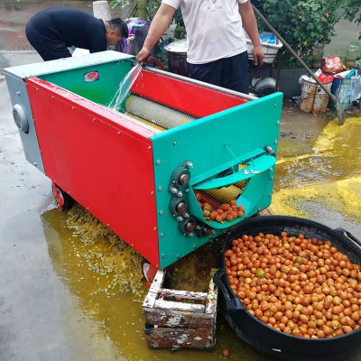 青核桃去皮機 大產量核桃剝殼機 全自動鮮核桃脫皮機