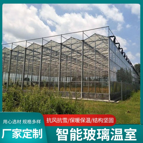 現代化智能 農業種植 玻璃溫室大棚