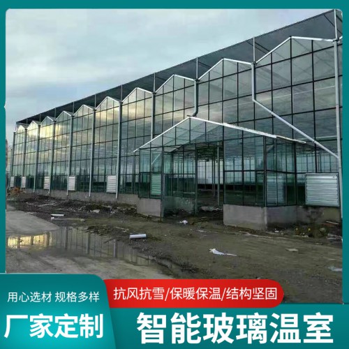 智能溫室 農業玻璃溫室 玻璃溫室