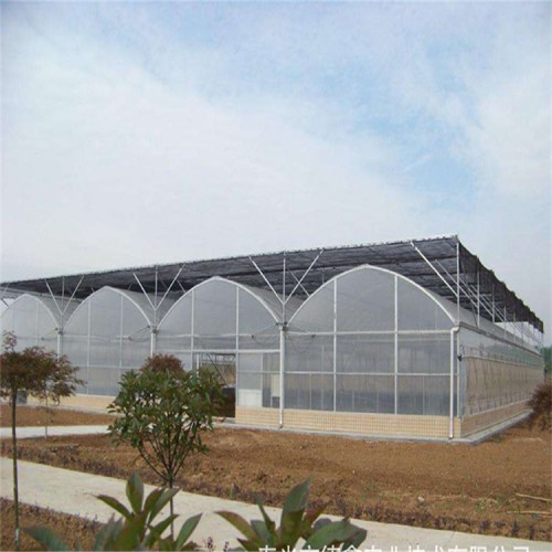 承建薄膜溫室大棚工程 薄膜溫室骨架設計與加工