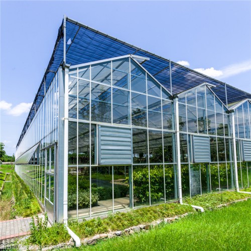 建設連棟溫室大棚工程 新型連棟溫室大棚骨架設計廠家