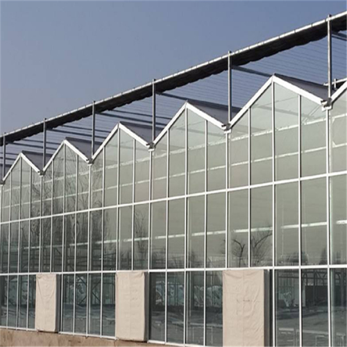 蔬菜溫室大棚工程 溫室大棚承建商 溫室大棚配件廠家