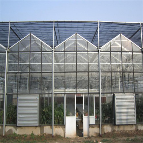 連棟溫室建設步驟  連棟溫室廠家承建商 溫室大棚工程