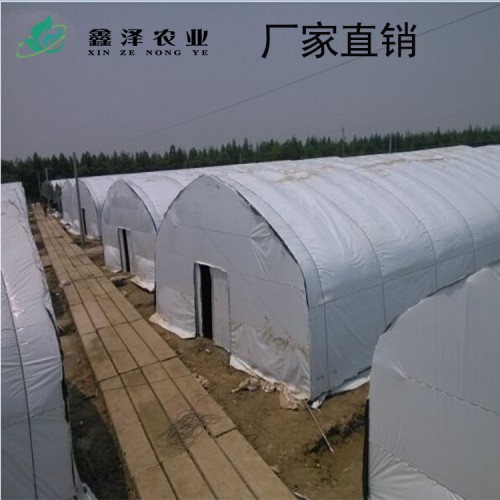 香菇大棚 養殖大棚 蘑菇大棚