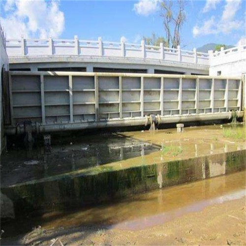 海鷹攔水壩 定制 大跨度鋼壩 雙向擋水鋼閘門 液動(dòng)鋼閘門