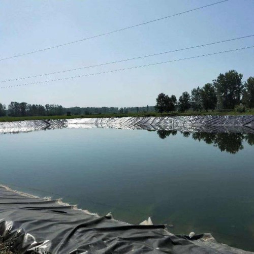 水利灌溉池土工膜 0.5mm防滲膜性能穩(wěn)定