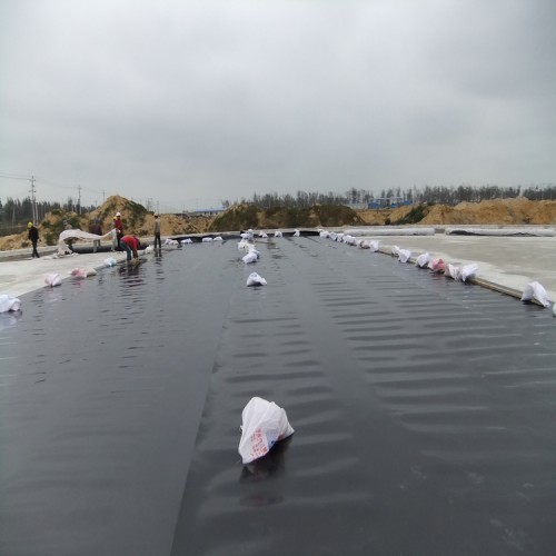 倉庫防滲用1.0mm土工膜廠家批發價