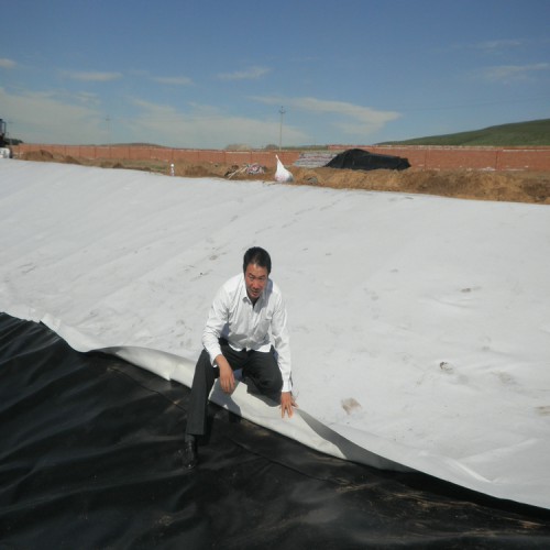 荊州抗紫外線雙毛面土工膜 內蒙復合土工膜 水利工程復合HDPE土工膜