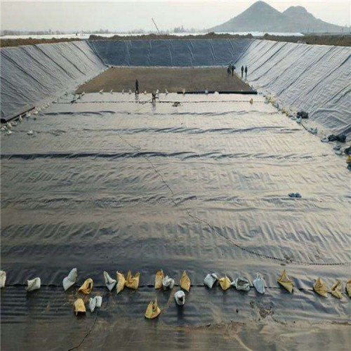廠房防滲用1.0mm土工膜生產廠家