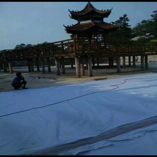 進口土工膜 1.2mm防滲膜沼氣池防滲膜