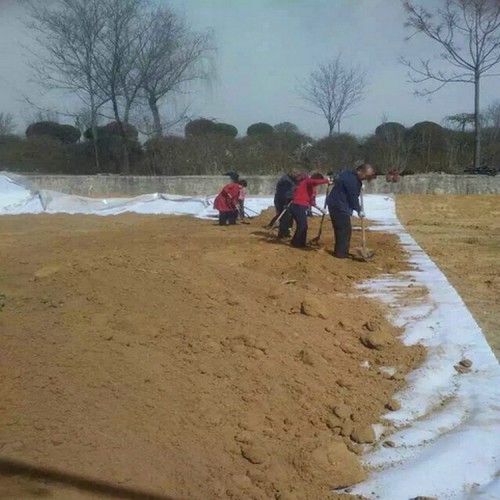 封丘污水處理廠HDPE防滲膜 1.0mmHDPE土工膜精選廠家