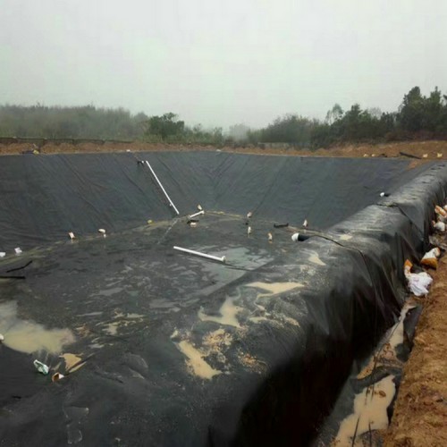 吳川藕池專用土工膜 0.75mm防滲膜量尺定做