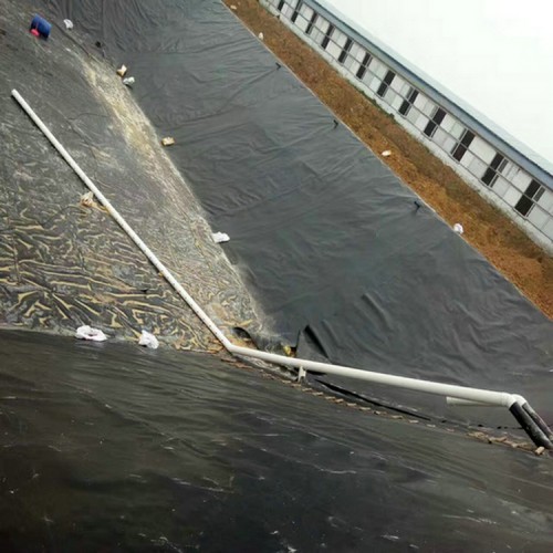 荊門污水處理土工布 防滲膜產品 湖壩防滲用HDPE土工膜