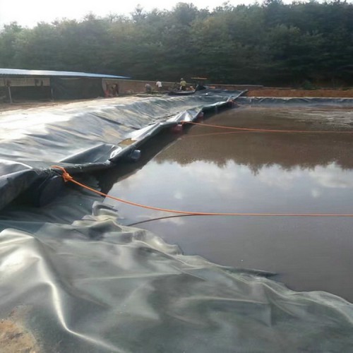 馬鞍山復合土工膜 hdpe膜防滲膜 蓄水池防滲HDPE土工膜膜