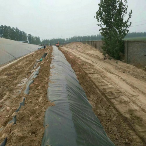 龍門1.2mm養殖場沼氣池防滲膜 軟式透水管優質商品