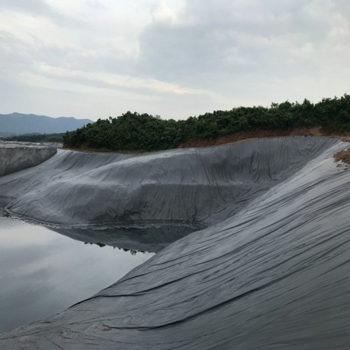 廠標防滲膜 0.35mmHDPE土工膜源頭生產廠