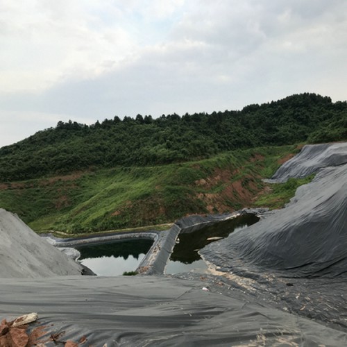 水利渠道土工膜商品批發(fā)價(jià)