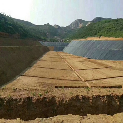 魚塘土工膜 固廢填埋防滲膜 魚池專用養(yǎng)殖