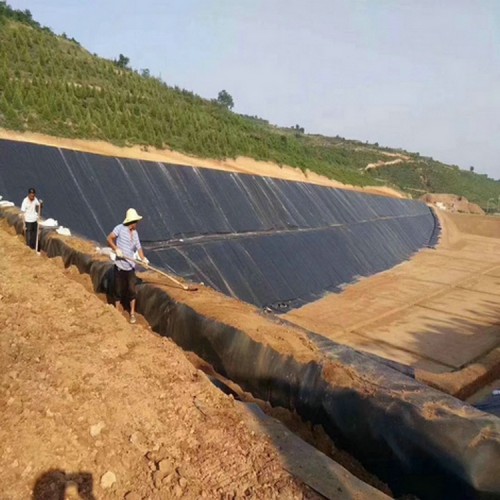 養(yǎng)殖場沼氣池防滲膜生產廠家源頭生產廠