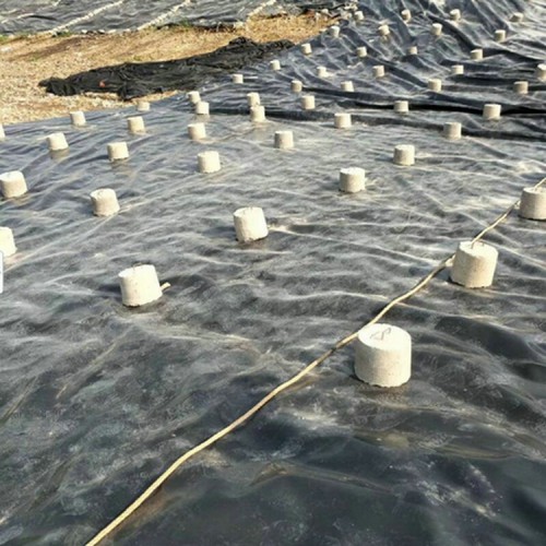 金川土工膜是什么 HDPE防滲膜生產廠家
