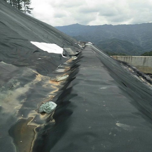 電廠灰壩防滲土工膜廠家批發價