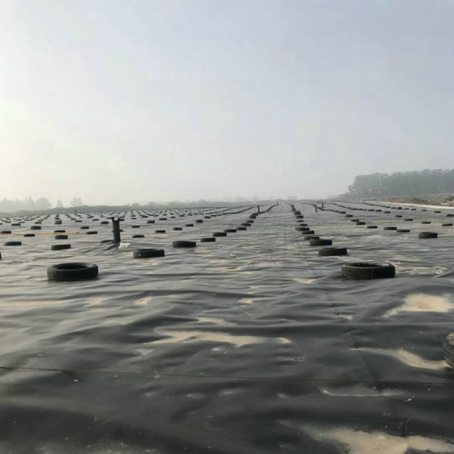 水利邊坡穩固HDPE土工膜 2.0mmHDPE防滲膜精選廠家