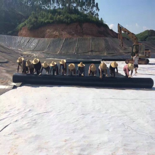 0.30mmHDPE防滲膜 土工膜價格填埋場土工膜