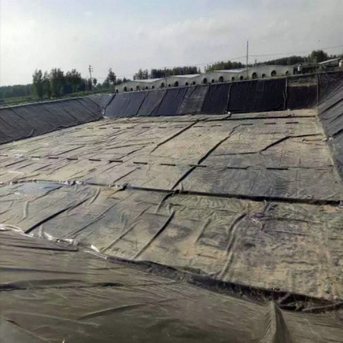仙桃耐老化2.0mm雙糙面防滲膜 防水復合土工膜價格 綠化草坪防水土工膜
