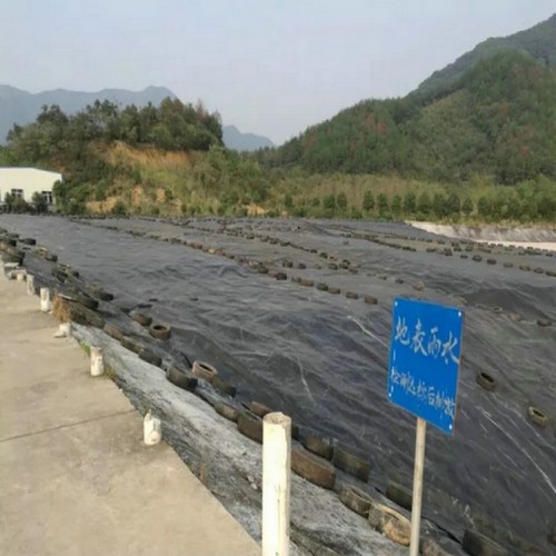 hdpe復合土工膜 土工膜價格沼氣池防滲膜