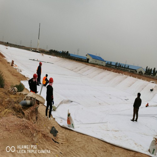 養殖沼液池防滲土工膜 0.7mm土工膜廠家自產自銷