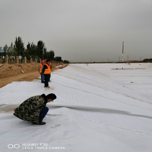 梅縣河道濕地土工膜 1.0mm土工膜精選廠家