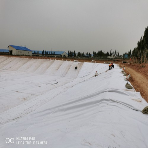 銅冶煉廠防滲1mm防滲膜 1.1mmHDPE土工膜源頭生產廠