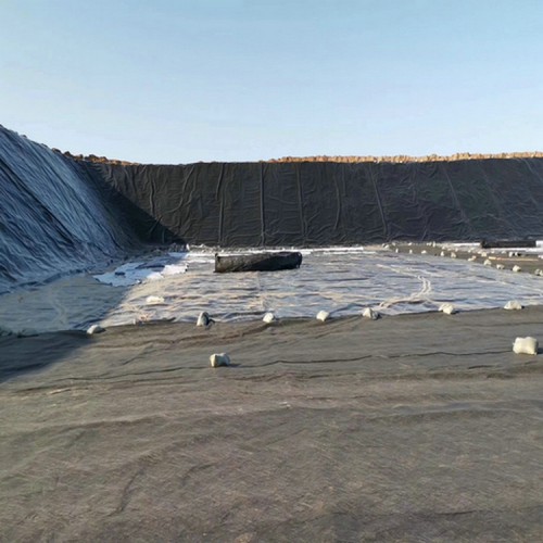 江西復合土工膜生產廠家 500g復合土工膜 土工膜兩布一膜價格