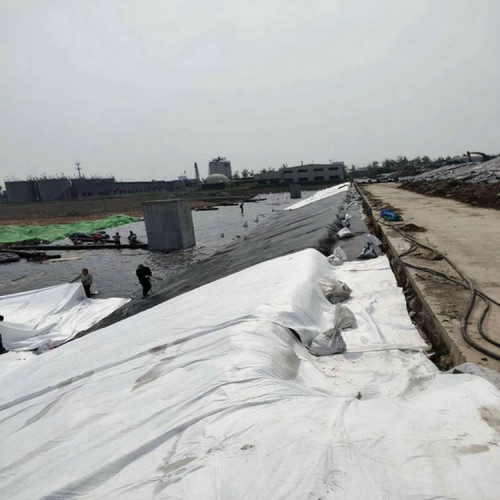 化學反應池防滲用1.0mmHDPE土工膜 0.5mmHDPE土工膜經久耐用