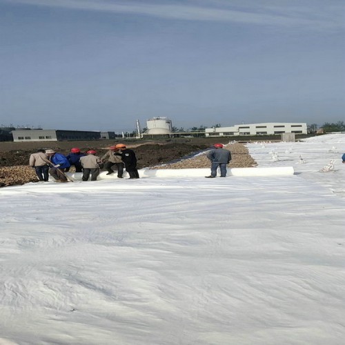 宿州復合土工膜 蓄水池水庫防滲hdpe土工膜 環保型耐老化土工膜