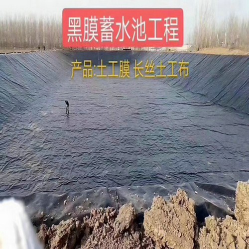 1.2mmHDPE土工膜廠家批發(fā)價(jià)