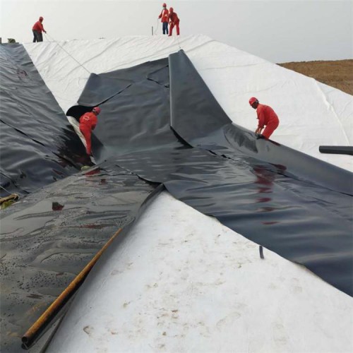 建筑防滲用1.5mmHDPE土工膜防潮貨源充足