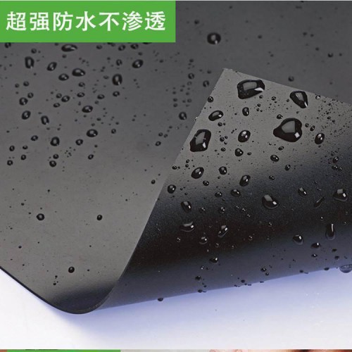 油罐庫區防滲用2mmHDPE土工膜 0.20mmHDPE土工膜廠家批發價