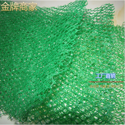 邊坡三維植被網(wǎng) 三維土工網(wǎng)墊廠家