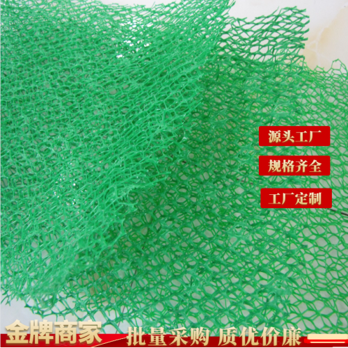 三維植被網(wǎng)廠家 大廠直銷