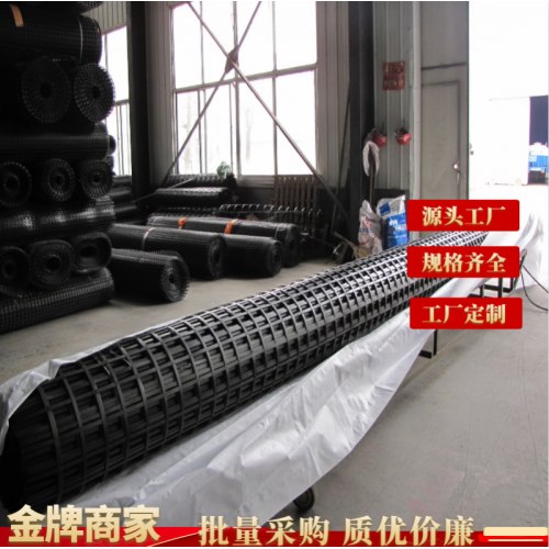 鋼塑格柵 凸節(jié)點(diǎn)鋼塑格柵 量大從優(yōu)鋼塑復(fù)合土工格柵