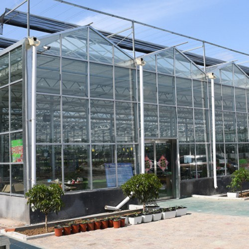大型智能溫室工程 連棟智能溫室承建商 智能溫室造價成本