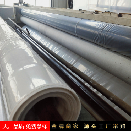 土工膜實力廠家 山東防滲膜