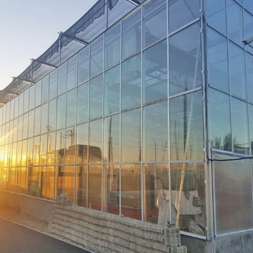 新型陽光板溫室大棚 連棟陽光板溫室建設(shè) 溫室骨架現(xiàn)貨供應(yīng)