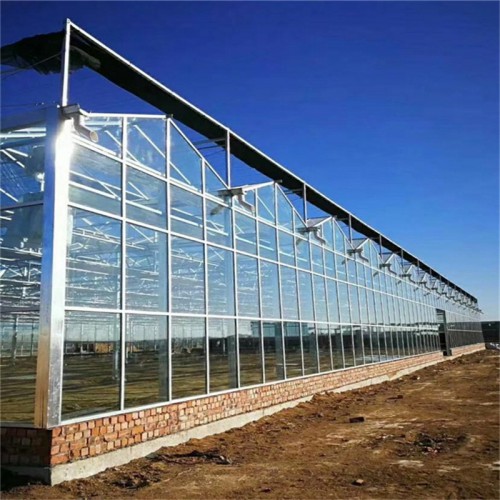 內(nèi)蒙古陽光板溫室建造商 陽光板溫室廠家 靠譜的溫室大棚設(shè)計